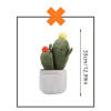 Kawaii knuffel plantje cactus naturel